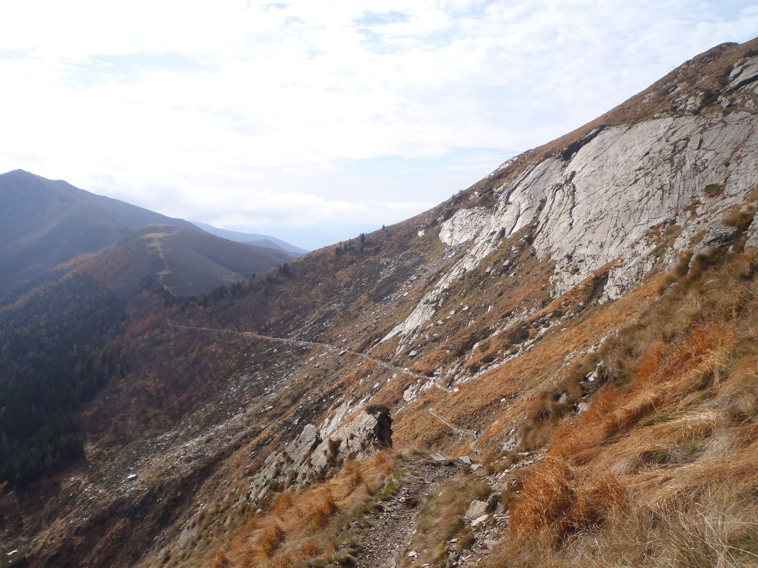 pa264804.jpg