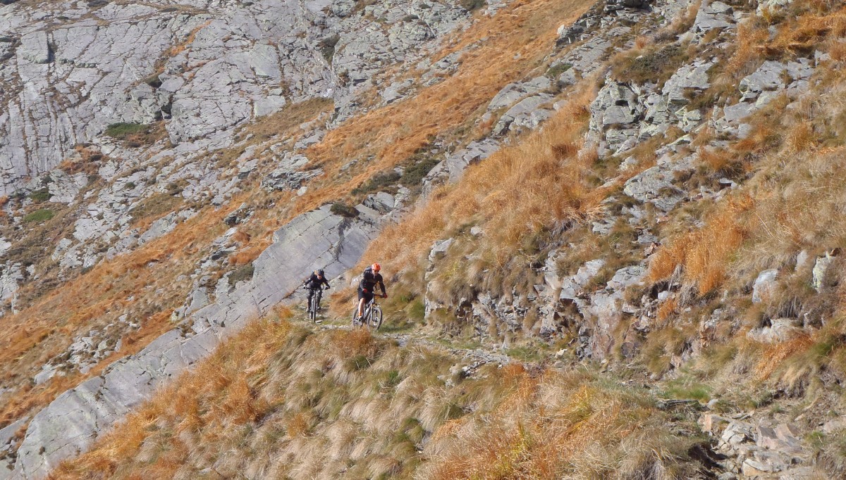 pa264808.jpg