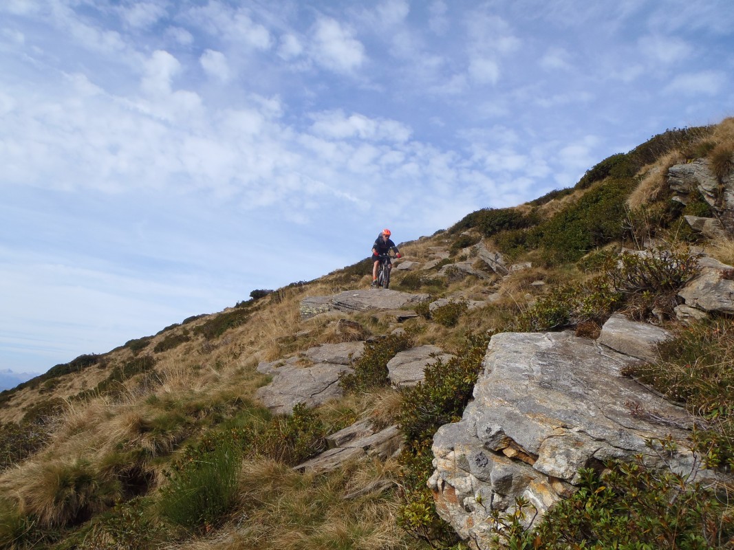 pa264814.jpg