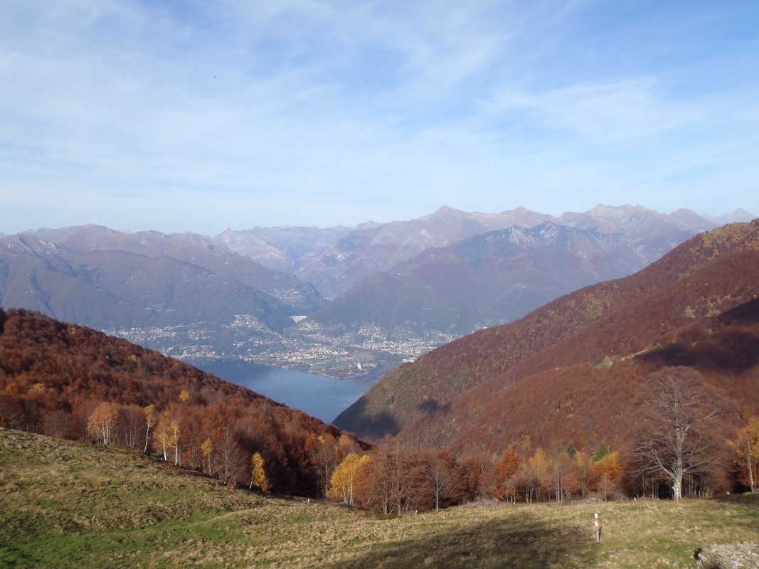 pa264821.jpg