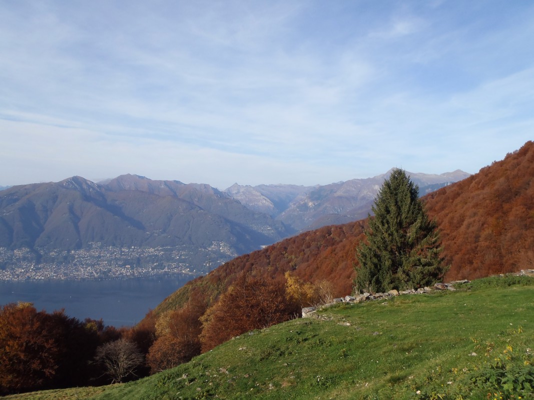 pa264823.jpg