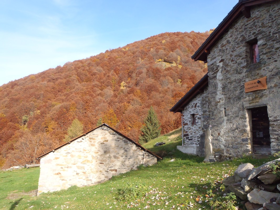 pa264824.jpg