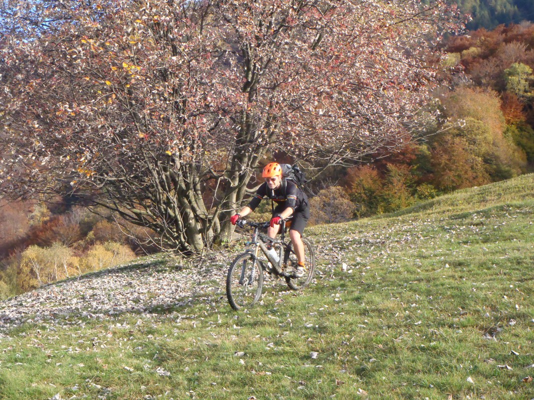 pa264825.jpg