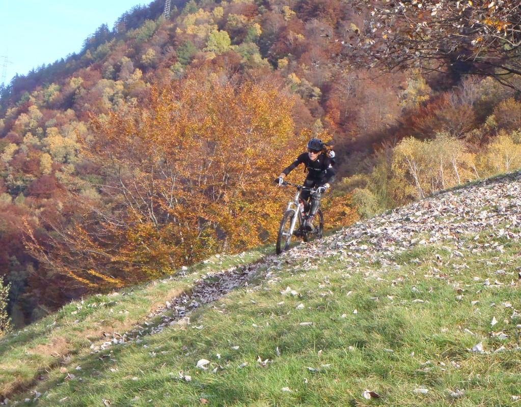 pa264826.jpg