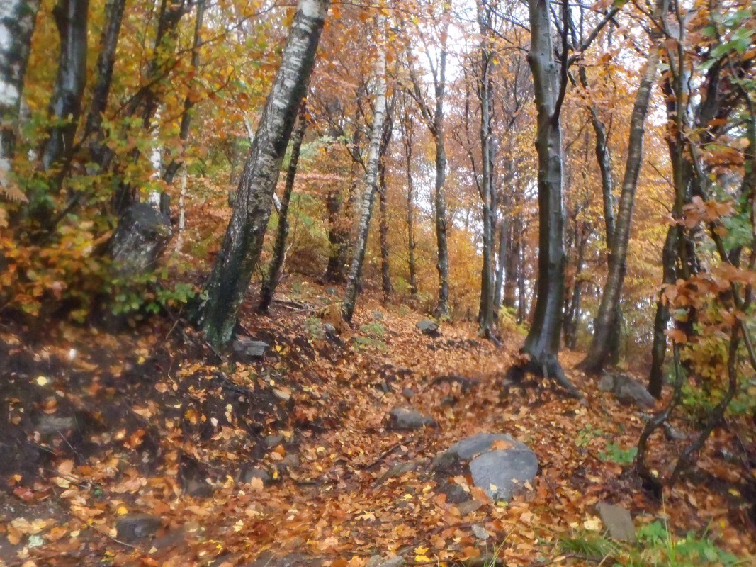 pa274845.jpg
