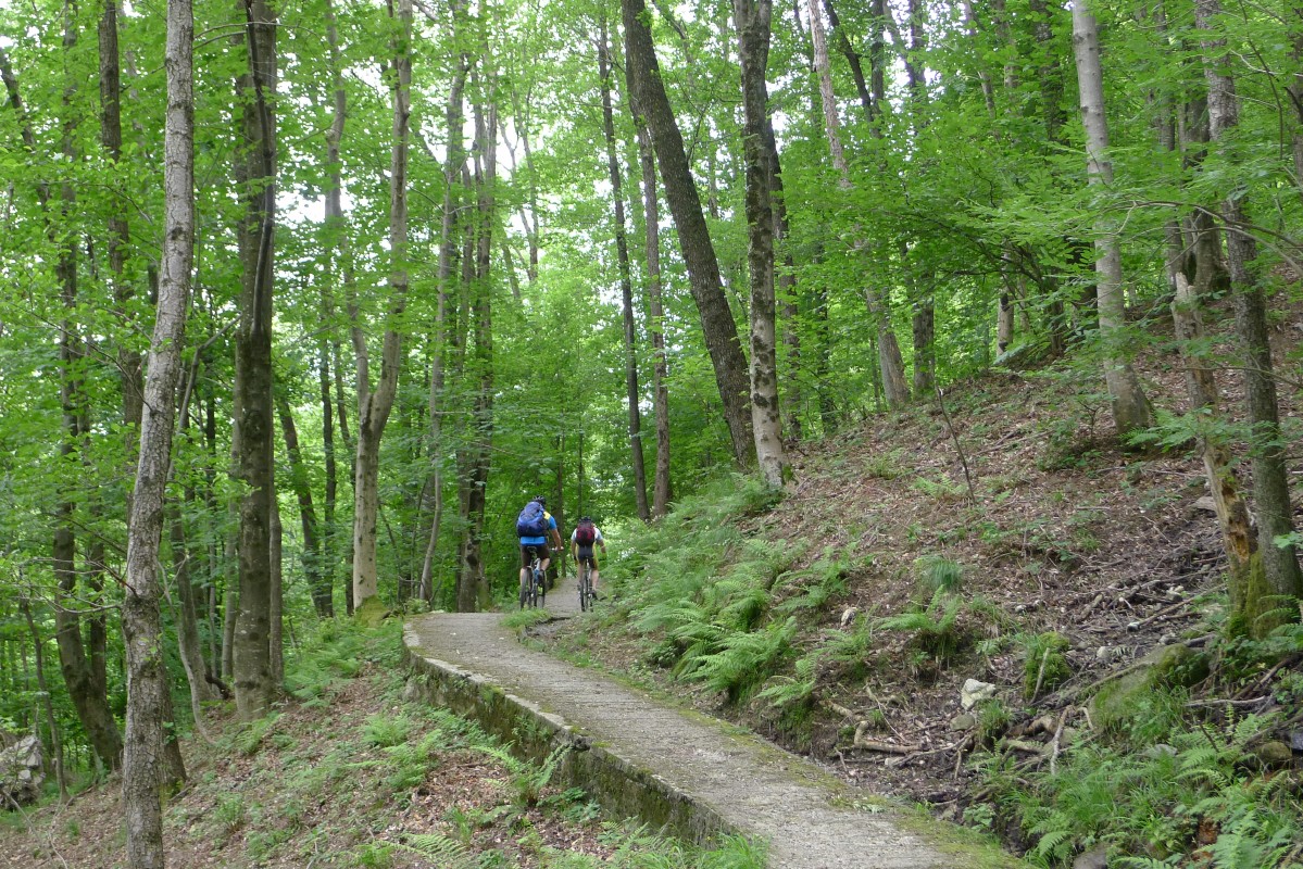 p1050445.jpg