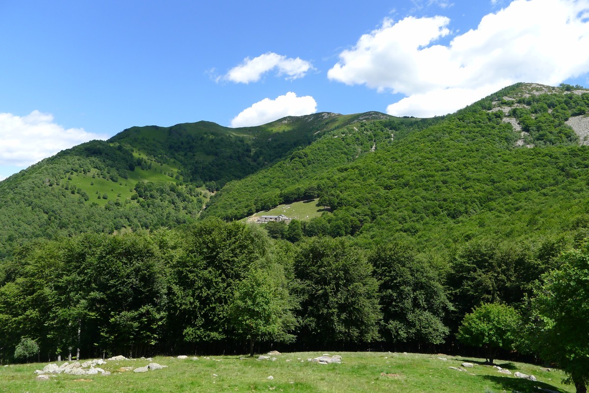 p1050475.jpg