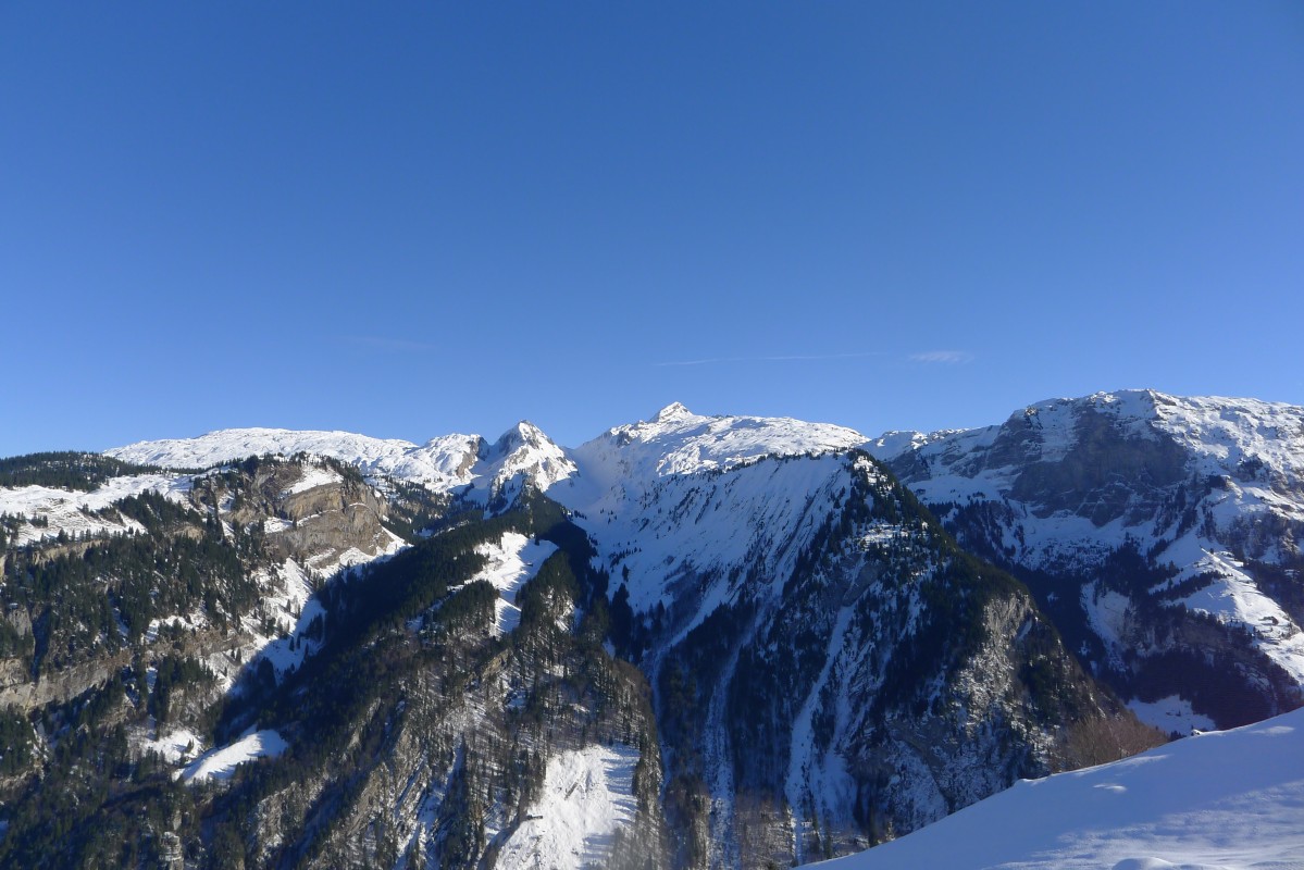 p1060764.jpg