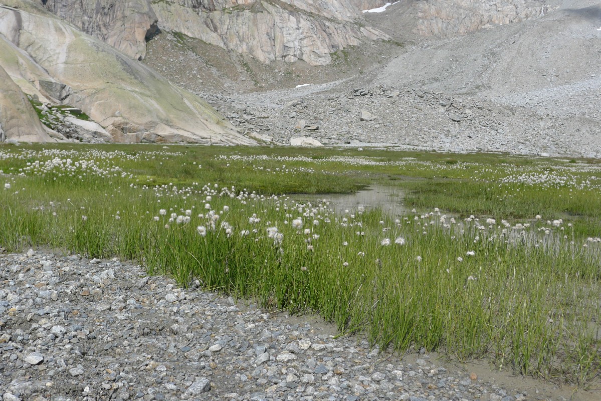 p1050820.jpg