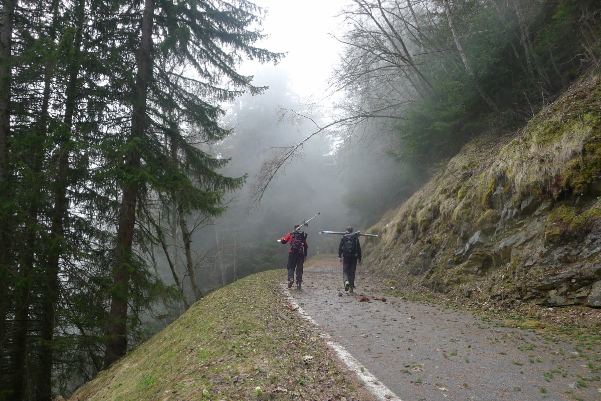 p1040717.jpg