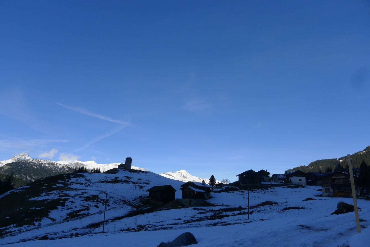 p1060866.jpg