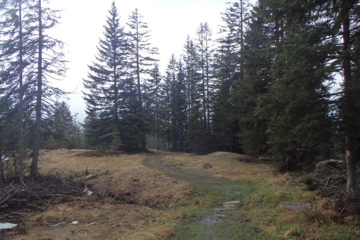 p1070925b.jpg