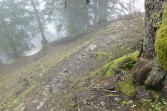 p1070916a.jpg
