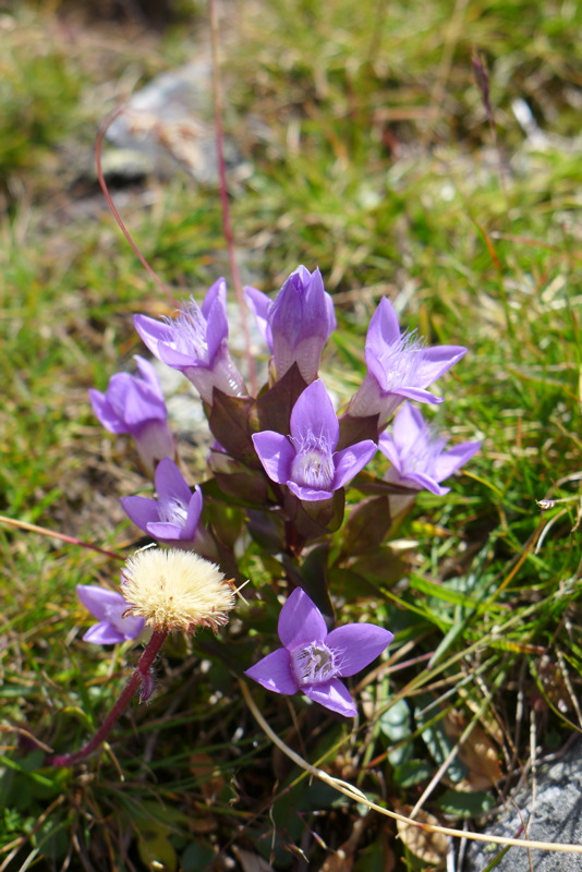 p1000839.jpg