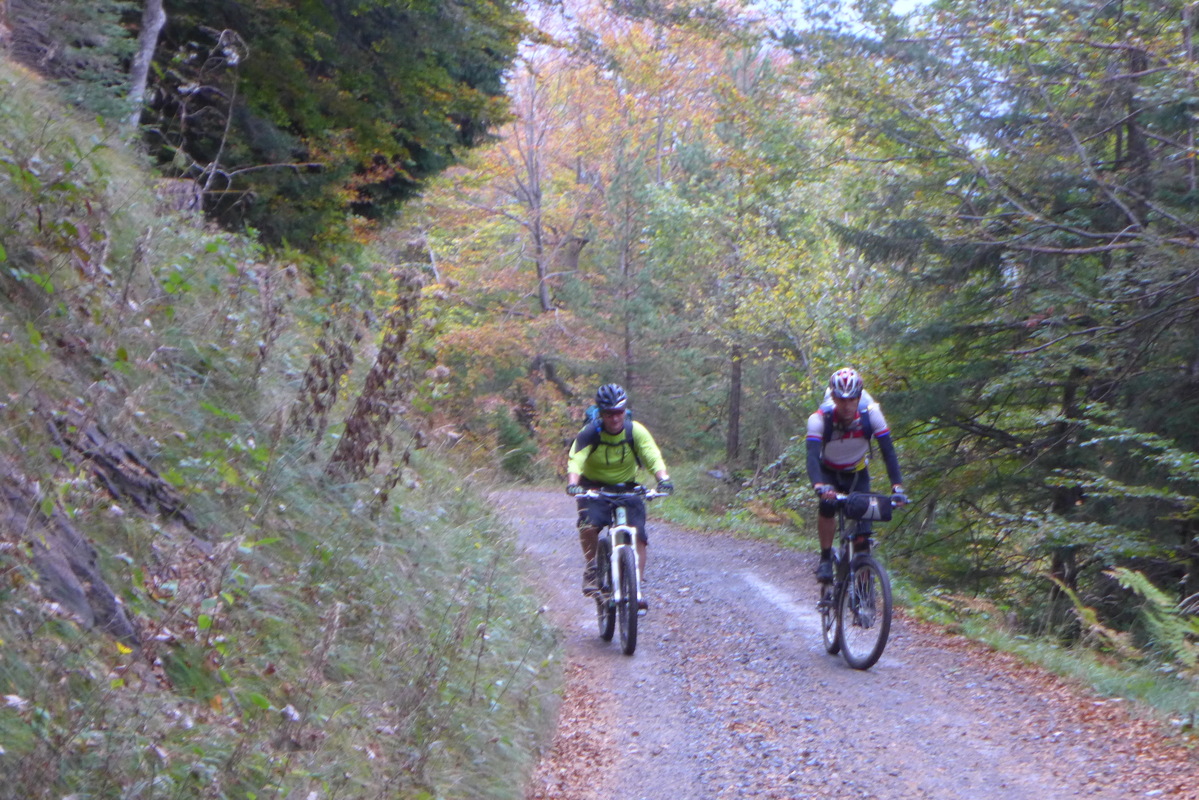p1010236.jpg
