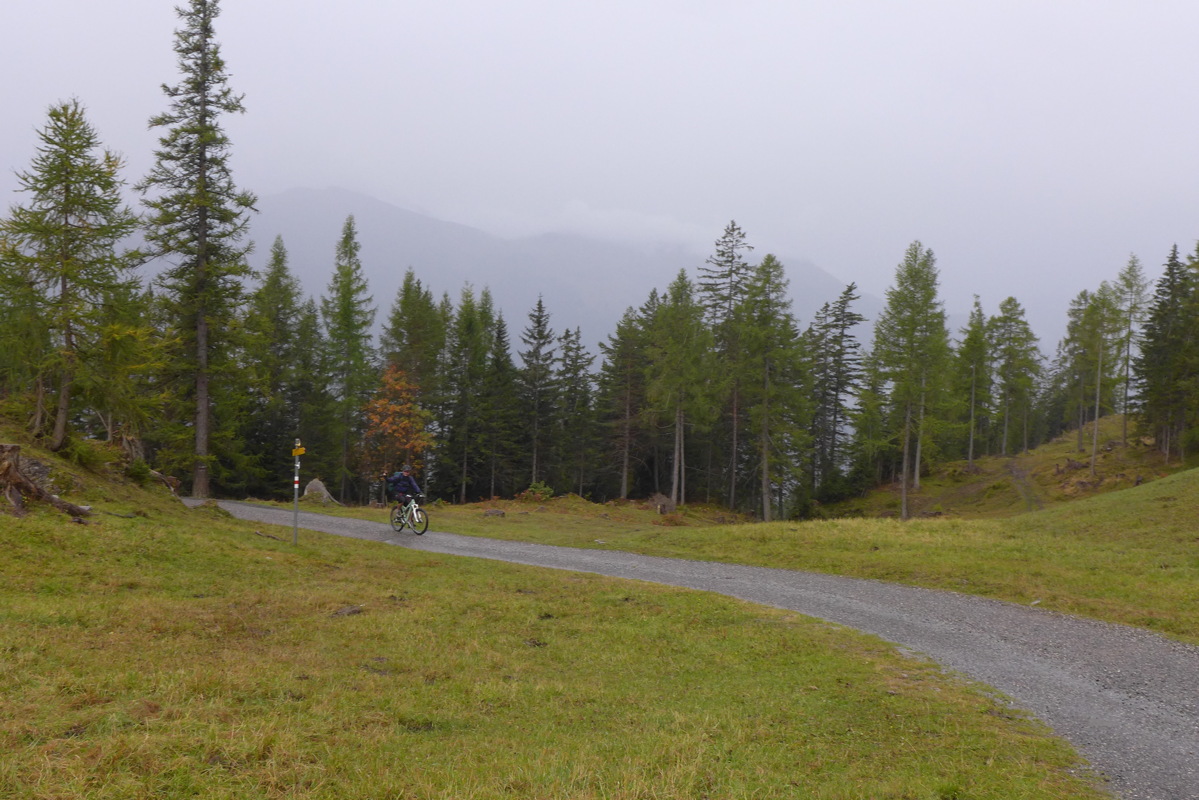p1010237.jpg