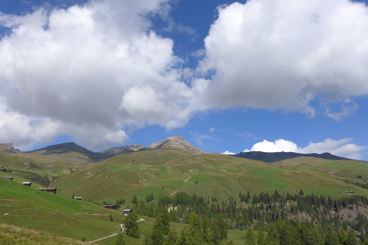 p1000871.jpg