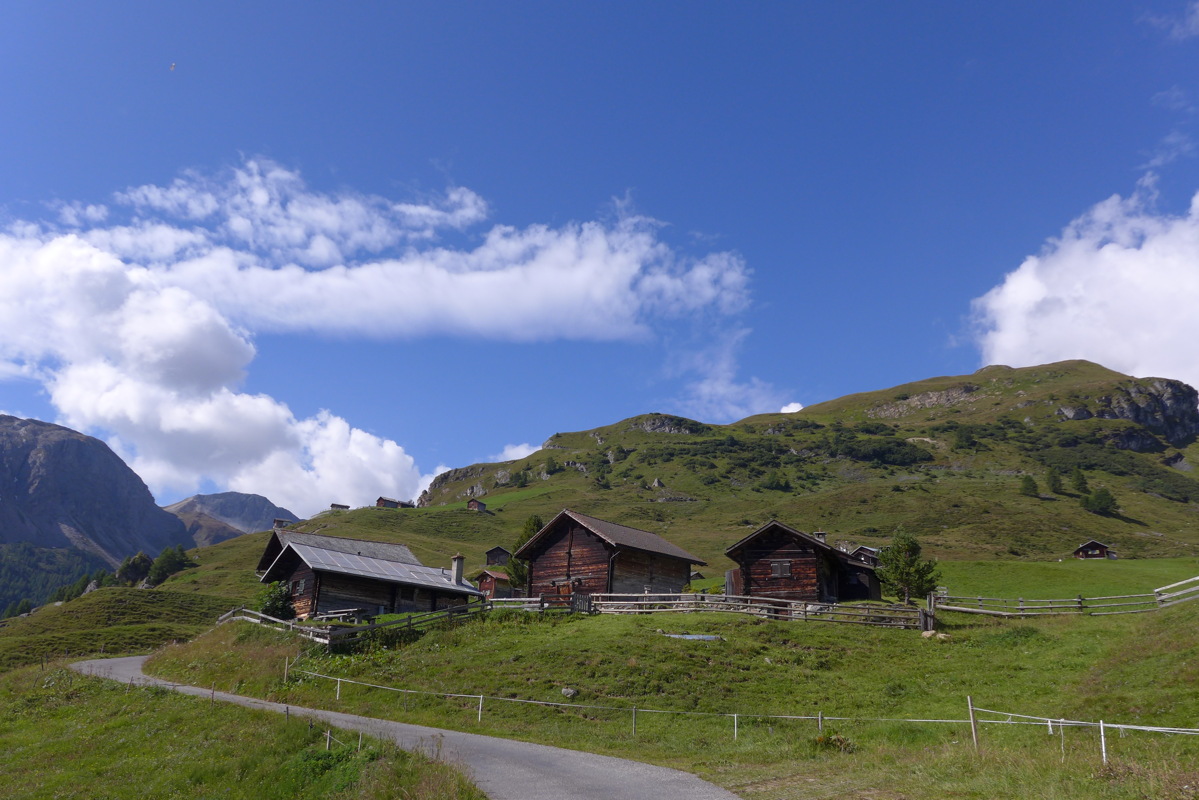 p1000872.jpg