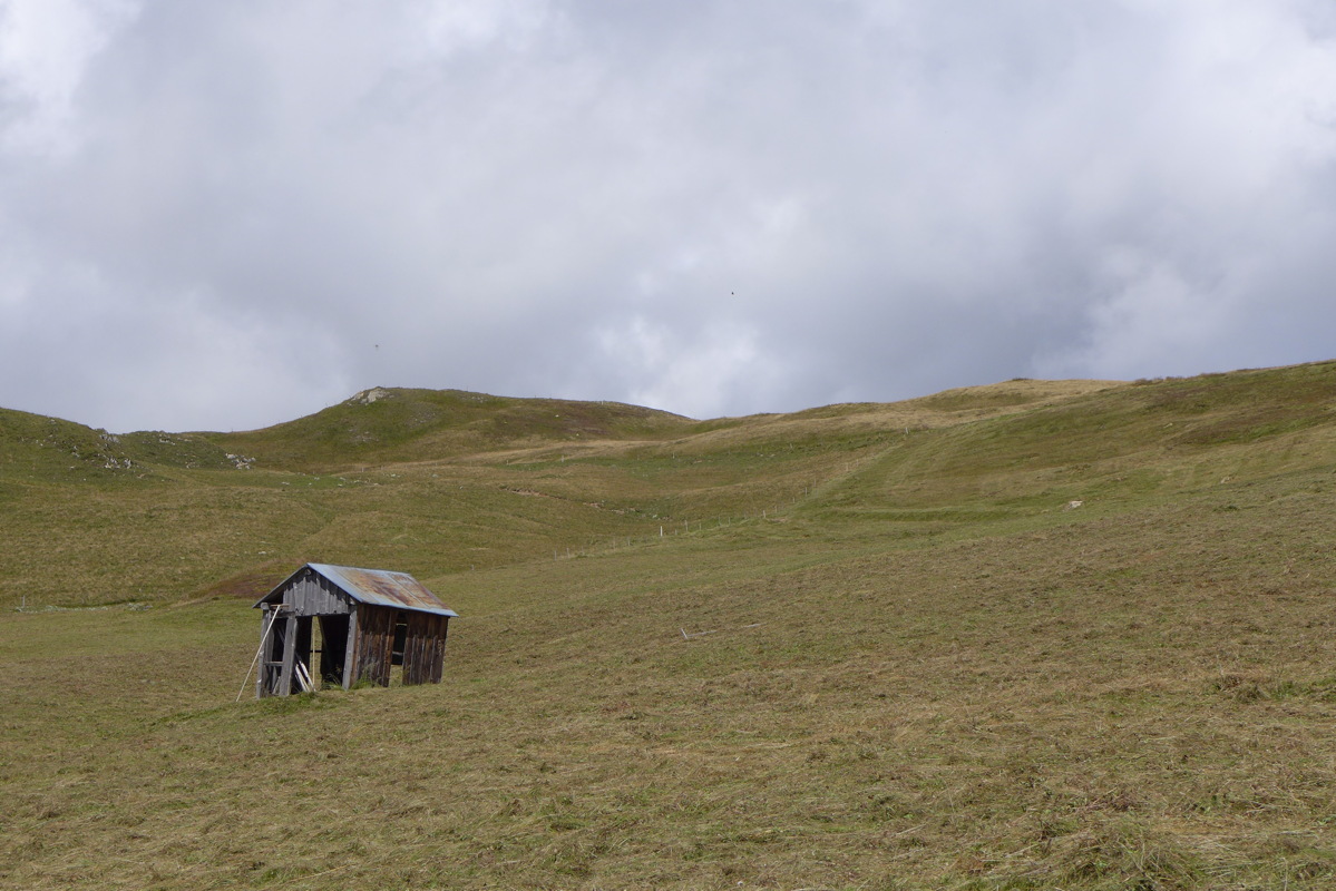 p1000876.jpg