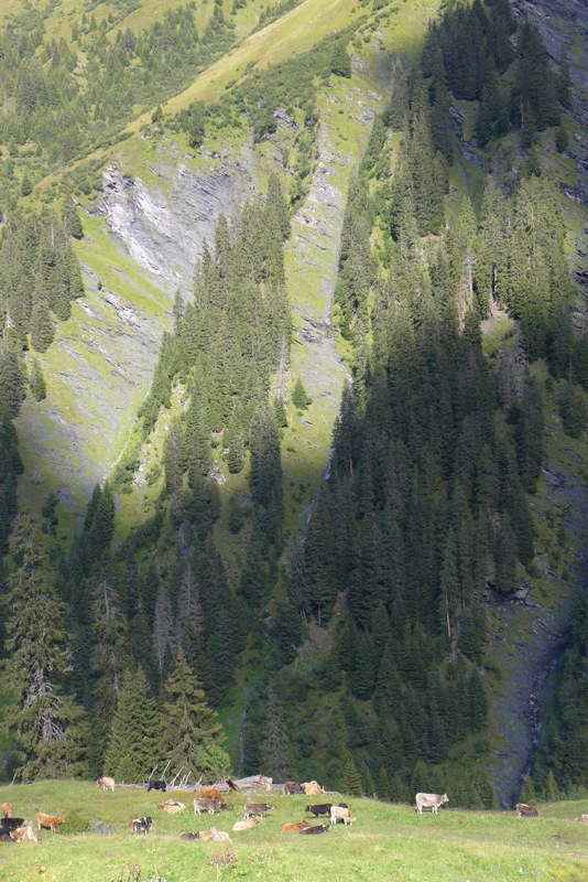 p1000913.jpg