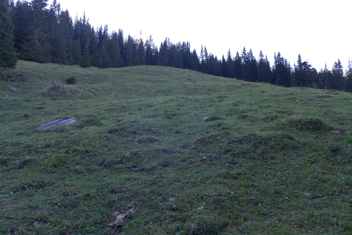 p1000914.jpg
