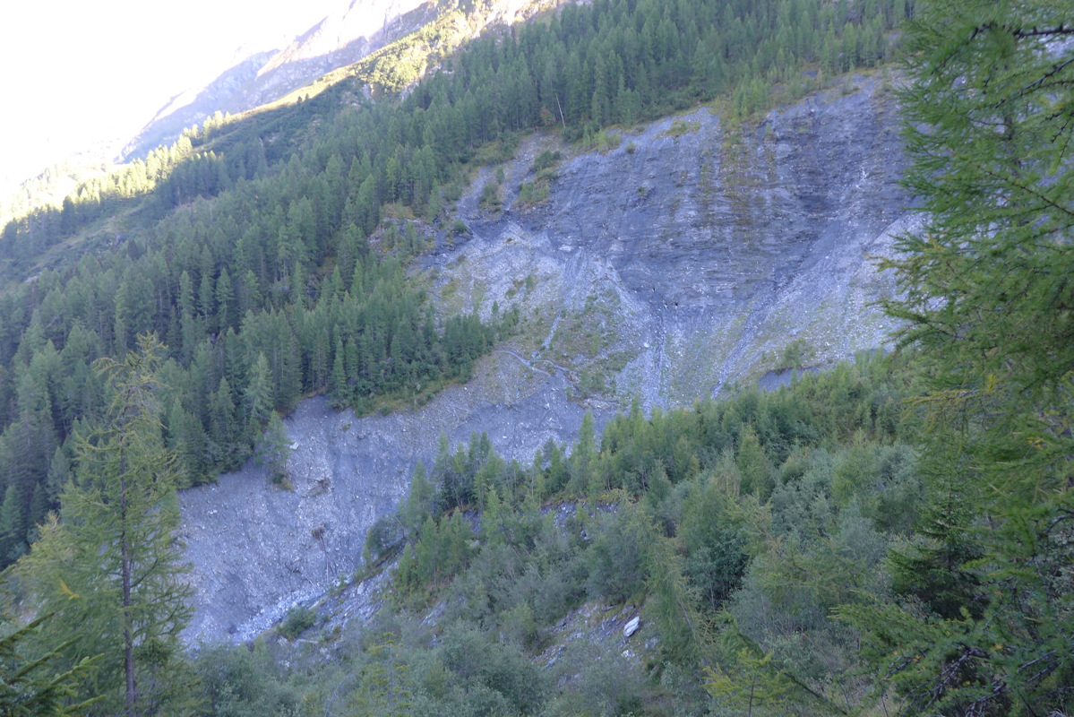 p1000915.jpg
