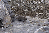p1000885.jpg