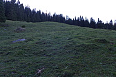 p1000914.jpg