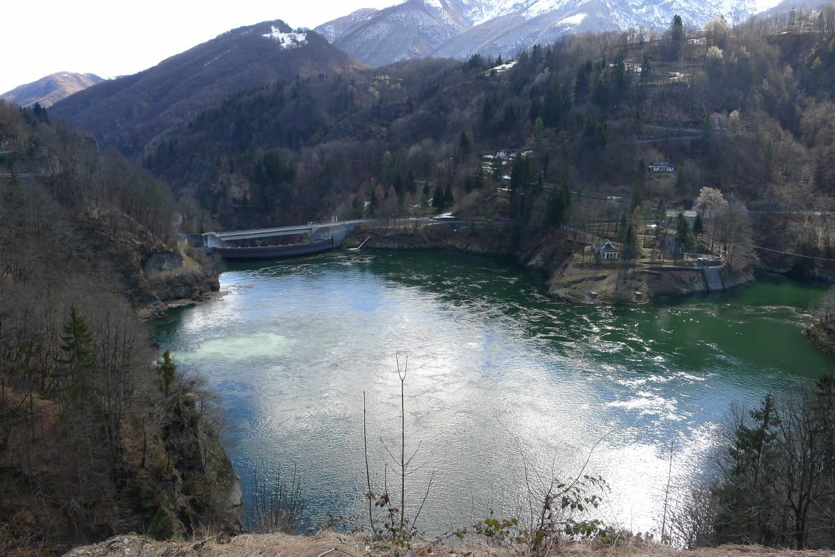 p1070549.jpg
