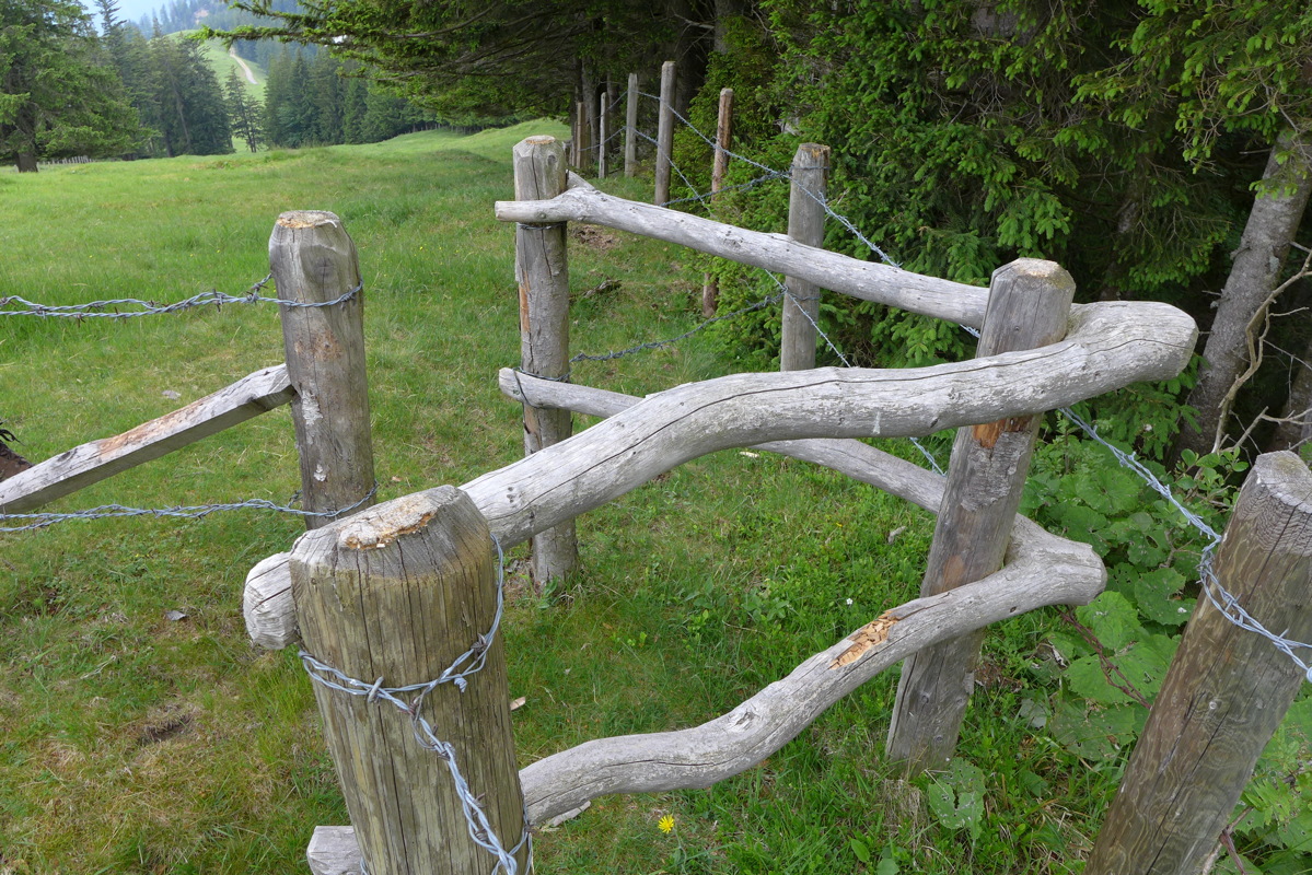 p1000178.jpg