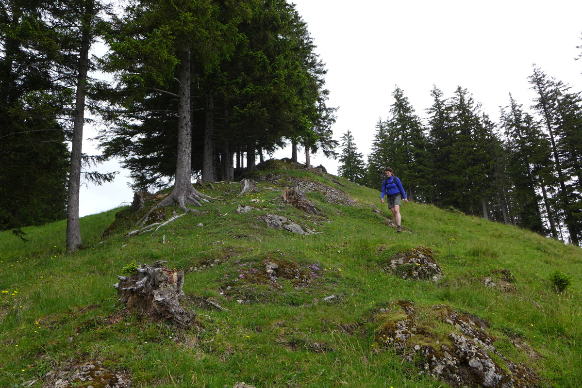 p1000180.jpg