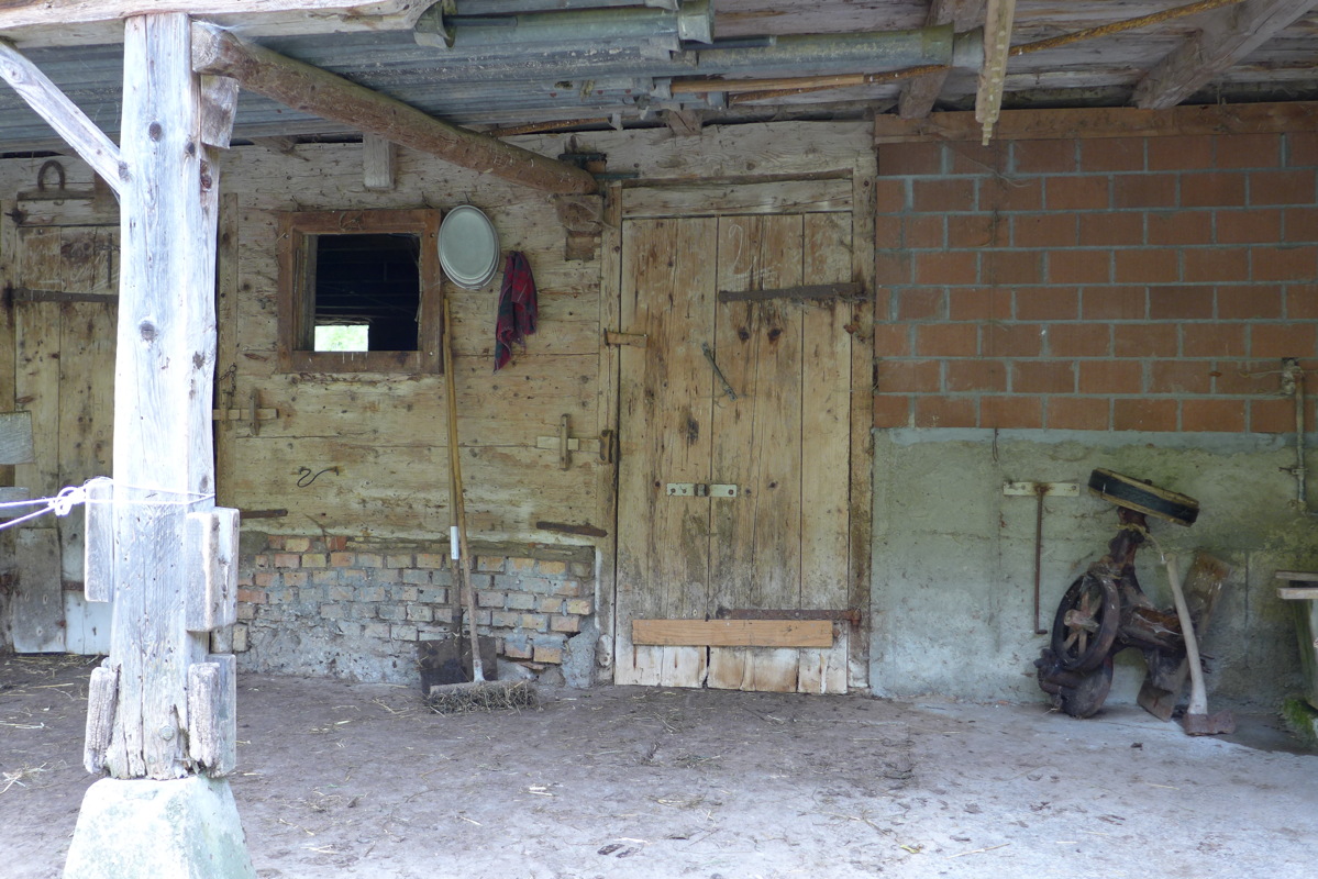 p1000184.jpg