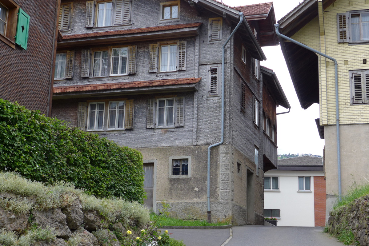 p1000186.jpg