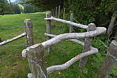 p1000178.jpg