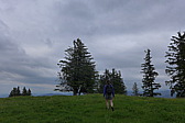 p1000179.jpg