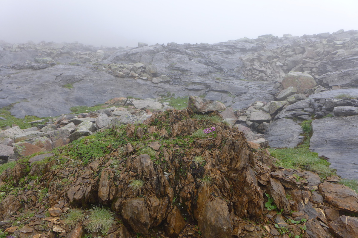 p1000576.jpg