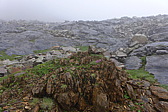 p1000576.jpg