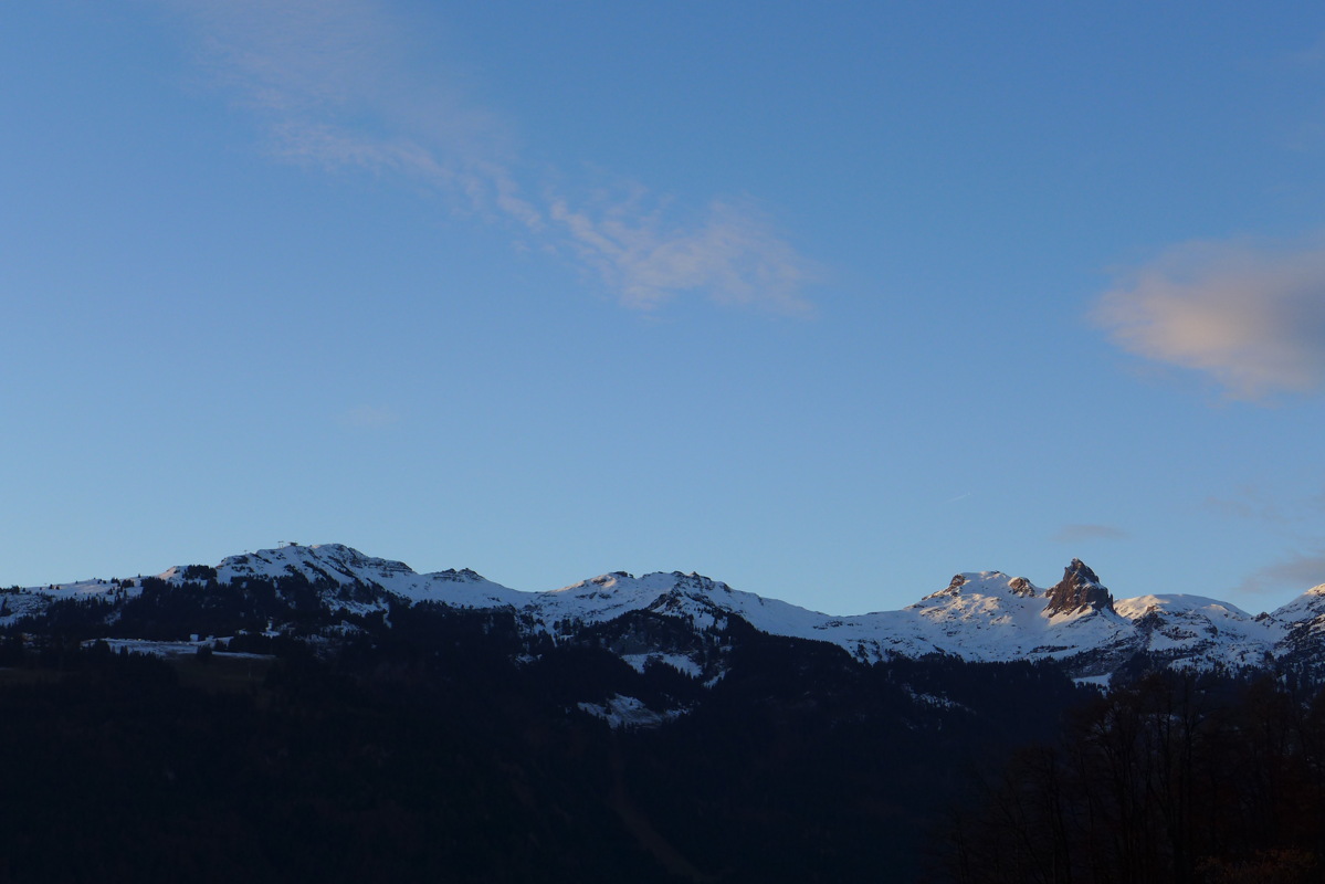 p1030230.jpg