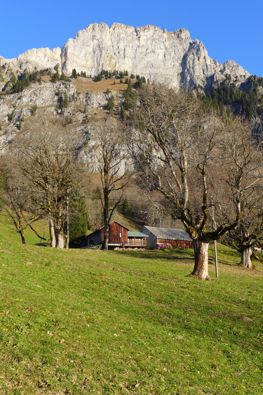 p1030231.jpg