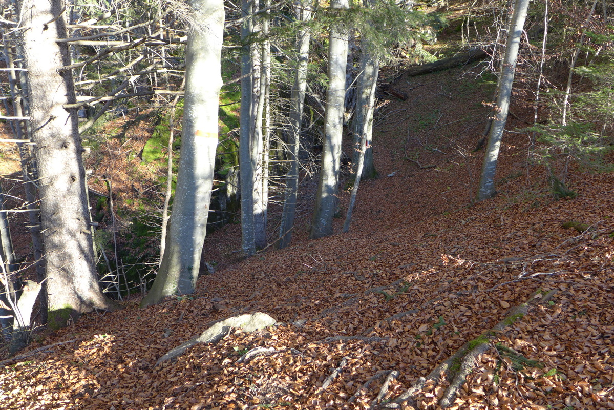 p1030250.jpg