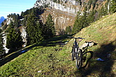 p1030239.jpg