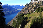 p1030244.jpg