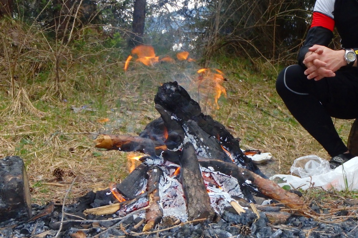 p4120181.jpg