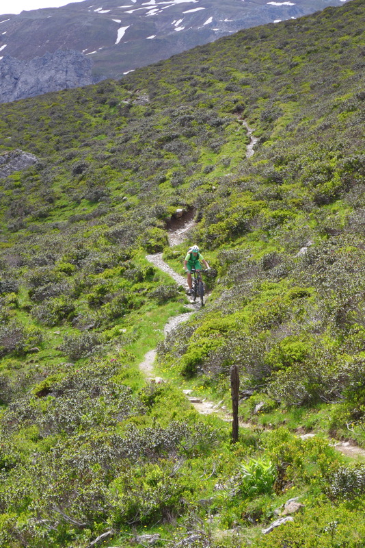 p1000326.jpg
