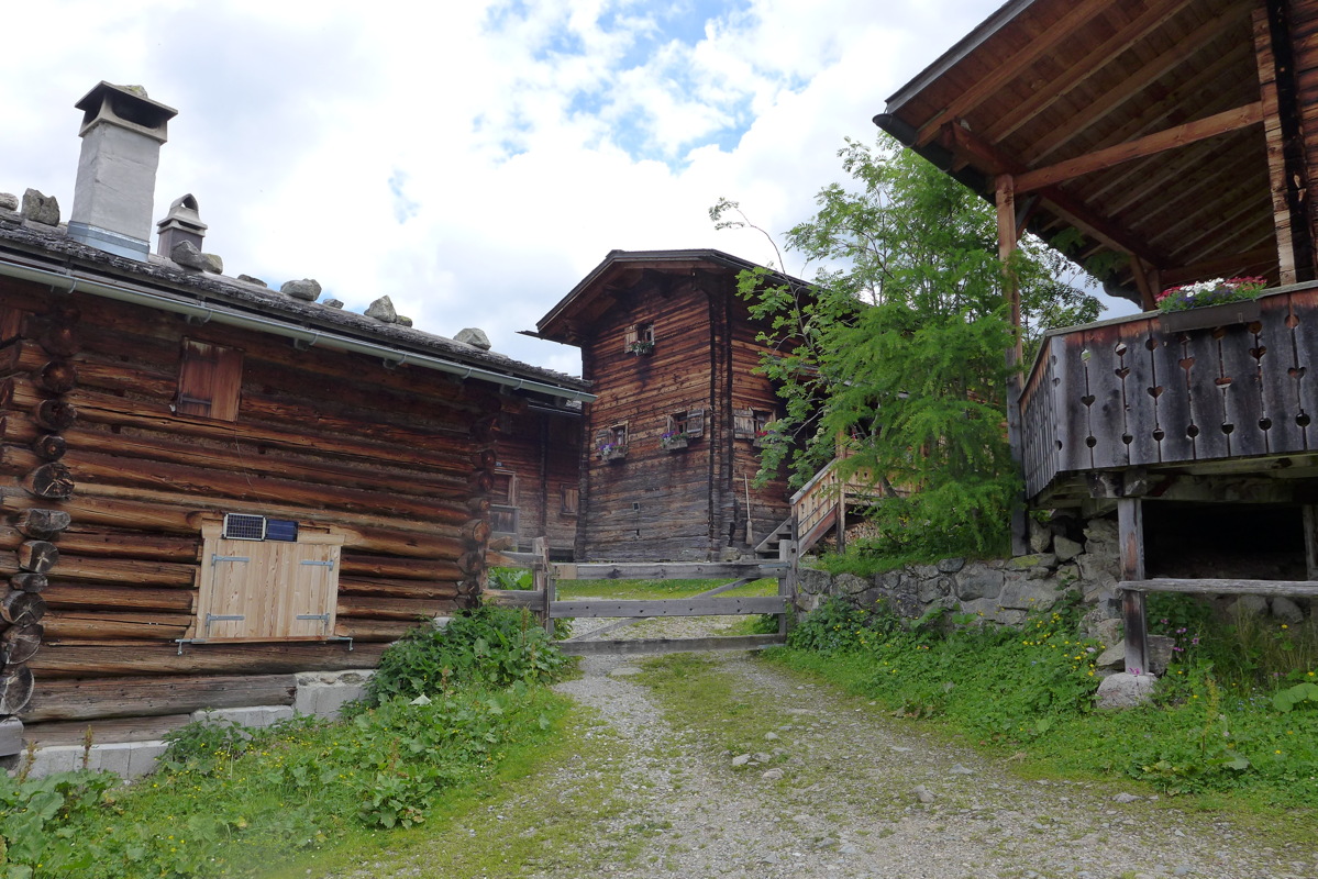 p1000328.jpg
