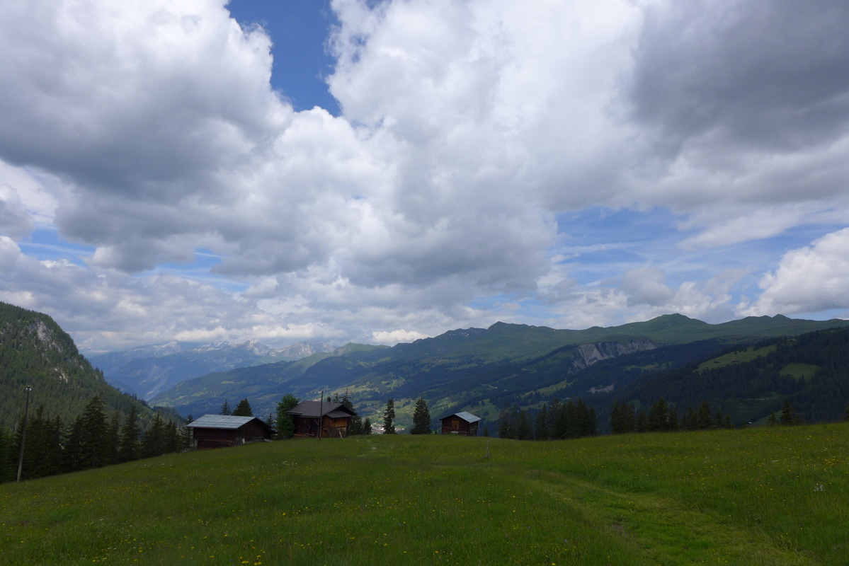 p1000334.jpg