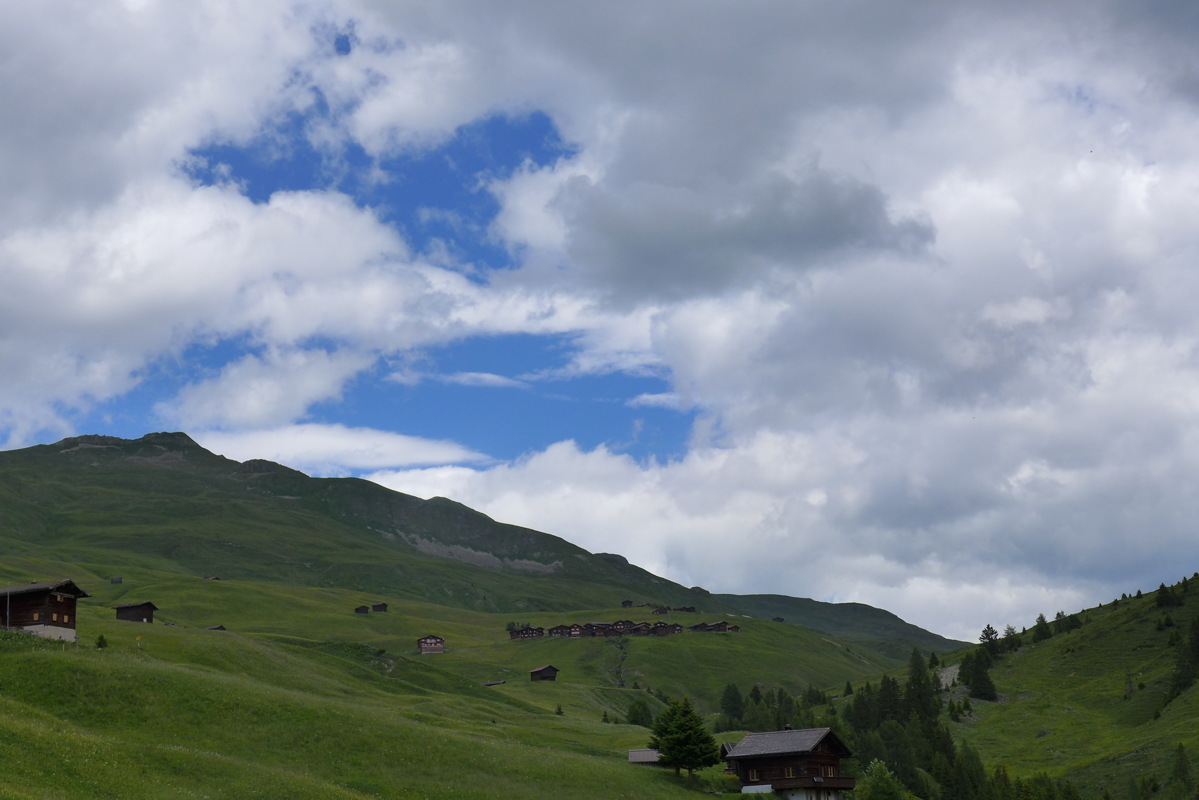 p1000339.jpg