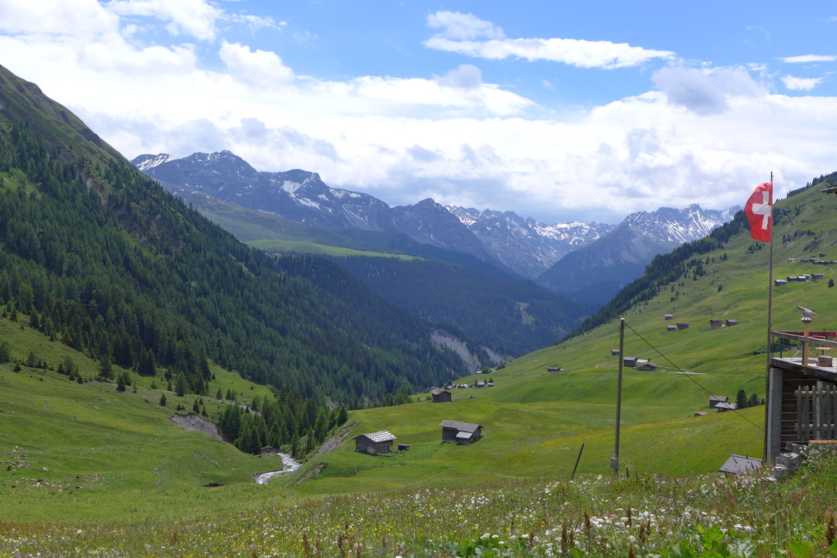 p1000341.jpg