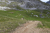 p1000295.jpg
