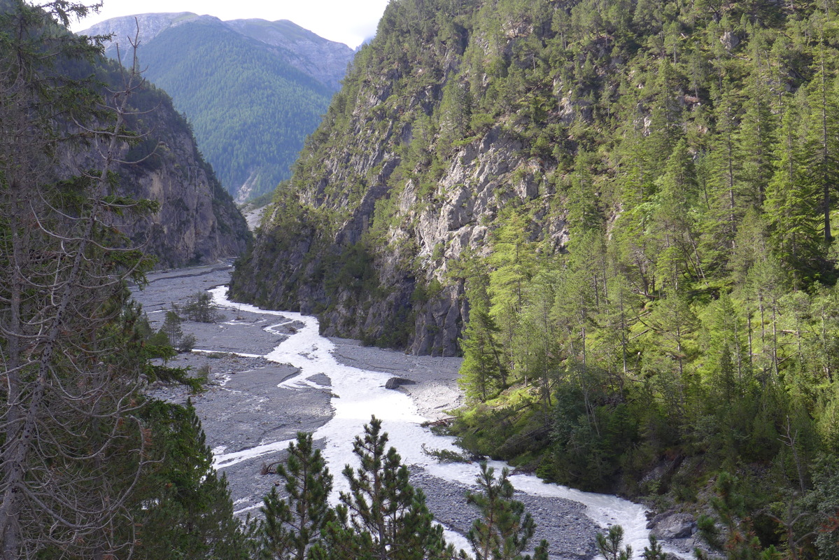 p1000741.jpg
